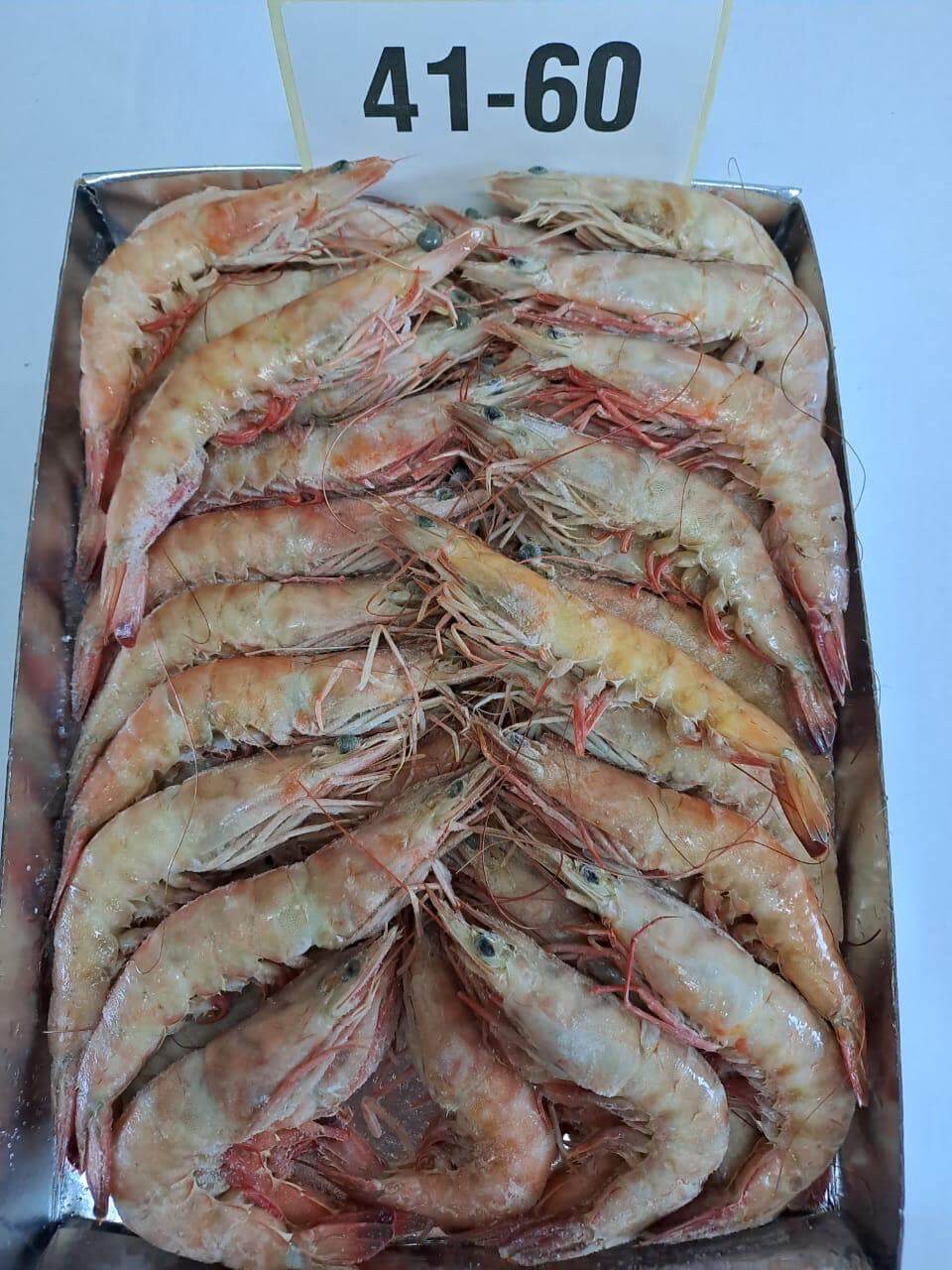 Crevette royale 41-60 tunifood